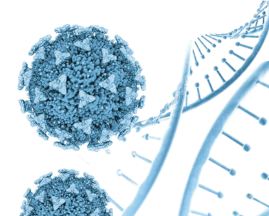 Molecular Biology Product